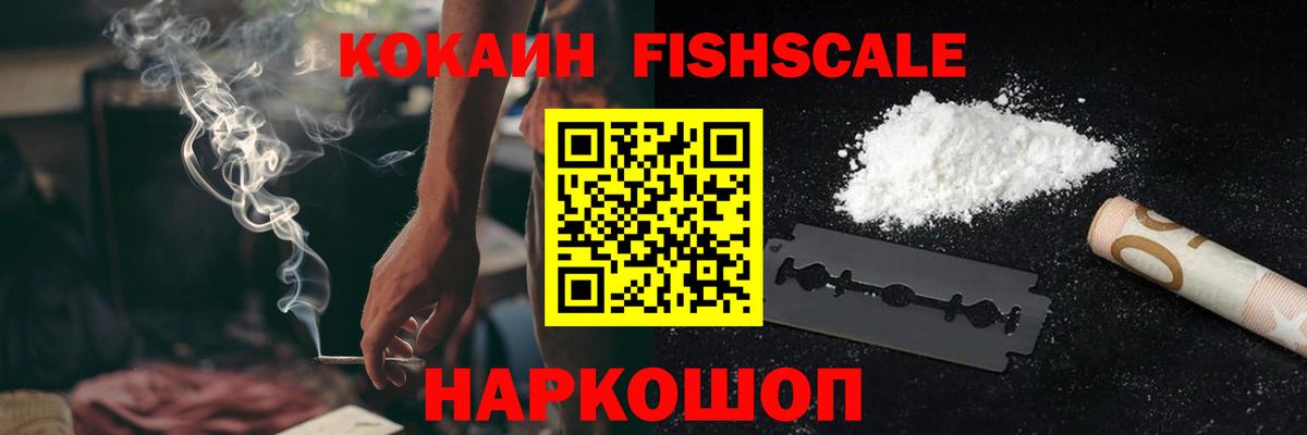 COCAIN FishScale Губкин