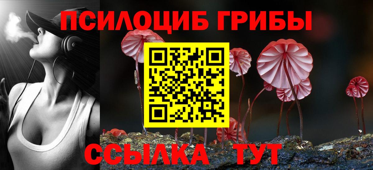 Псилоцибиновые грибы MAGIC MUSHROOMS  Вход с VPN  Псилоцибиновые грибы GOLDEN TEACHER  Губкин 