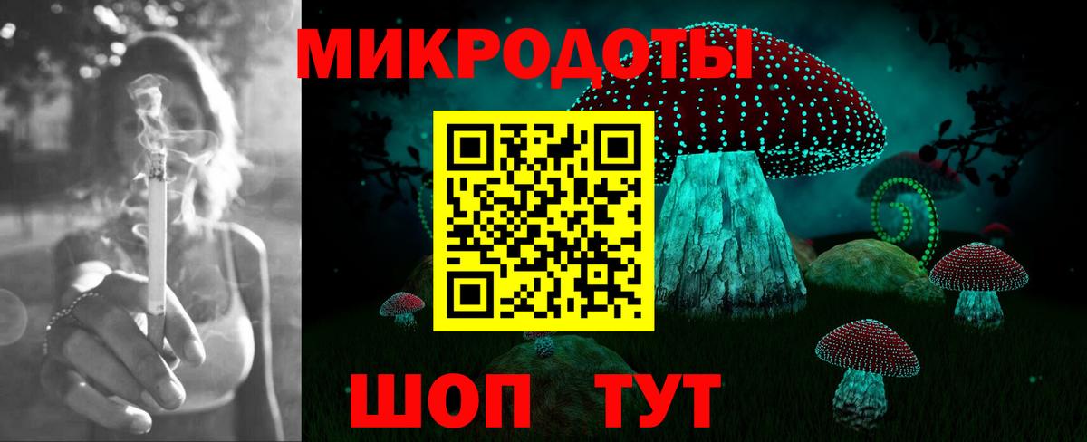 Галлюциногенные грибы Psilocybine cubensis Губкин